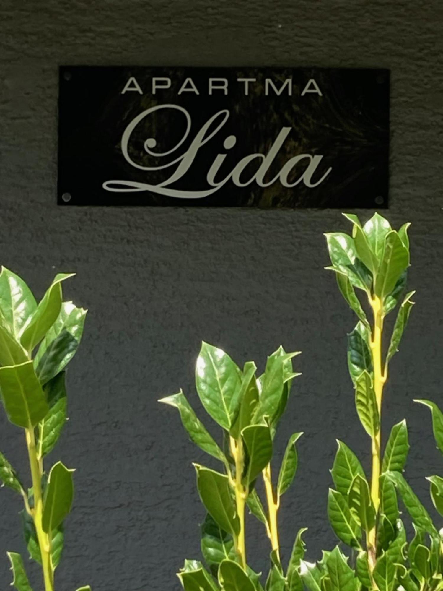 Apartment Lida ポドチェトルテク エクステリア 写真